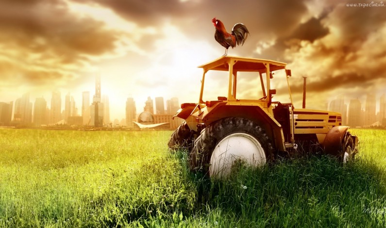 Льготы сельхозпроизводителям в 2016 году Льготы сельхозпроизводителям в 2016 году