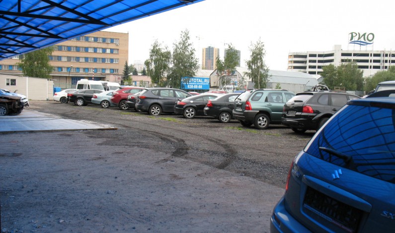 Должен ли пешеход нести ответственность за создание аварийной ситуации Должен ли пешеход нести ответственность за создание аварийной ситуации